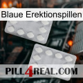 Blue Erection Pills 17
